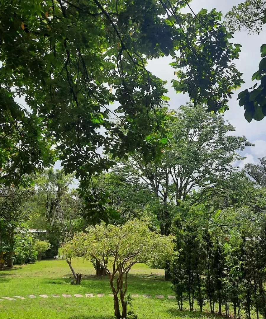 Quarto em Acomodações Particulares Espaco Tekoha Florianópolis
